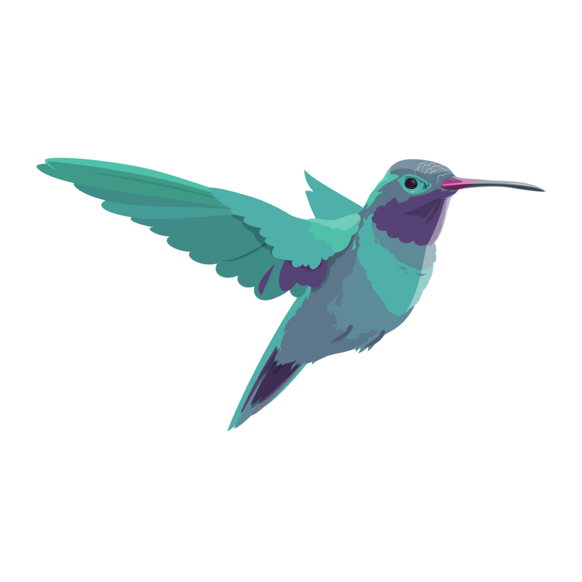 Colibri, la cabane du bien-être